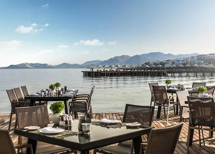 Swissotel Bodrum 5* טורגוטריס