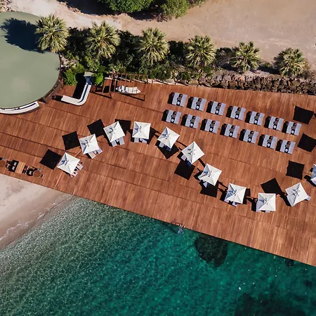 Ośrodek wypoczynkowy Swissotel Bodrum Turgutreis