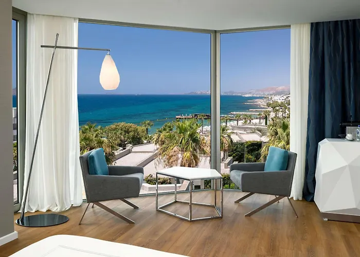 Swissotel Bodrum リゾート トゥルグトレイス