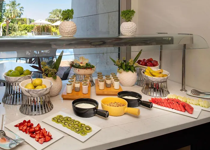 Swissotel Bodrum トゥルグトレイス