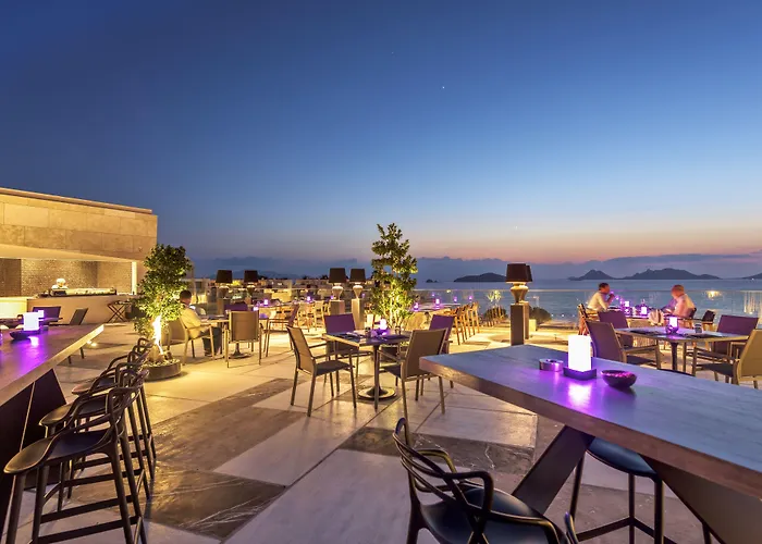リゾート Swissotel Bodrum トゥルグトレイス