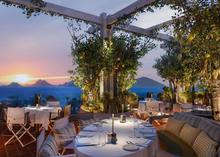 Swissotel Bodrum リゾート トゥルグトレイス